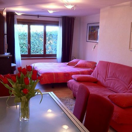 Appartement Lydie Le Landeron 外观 照片